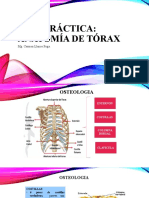 ANATOMÍA TORAX