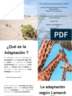 Adaptación