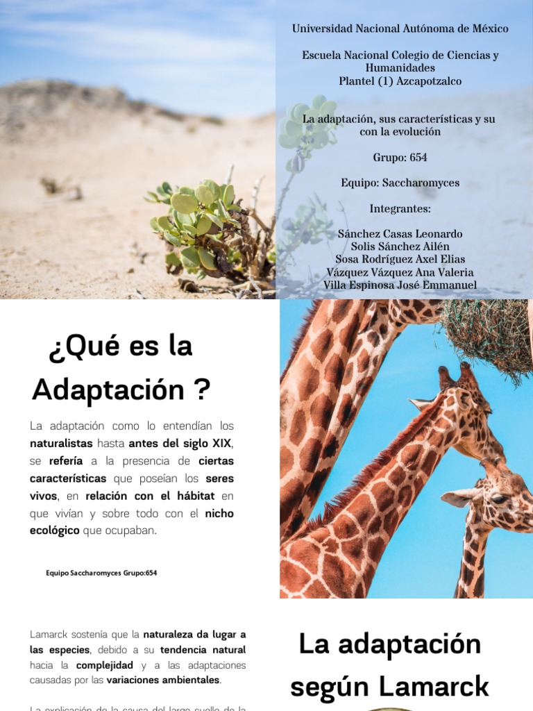 Adaptación y evolución de especies | PDF | Seleccion natural | Evolución