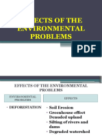 Effects of The Environmental Problems