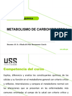 V-Metabolismo Carbohidratos I-2022-Ii