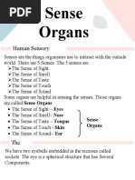 Eye Notes