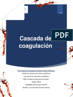 Cascada de Coagulación - Luis Fernando Guzmán Guzmán
