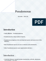 Pseudomonas aeruginosa: An Opportunistic Pathogen