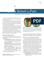 ESC 009 Essential Nutrients For Plants