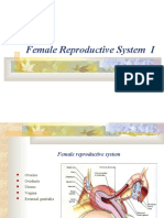 Reproductive System (Female)