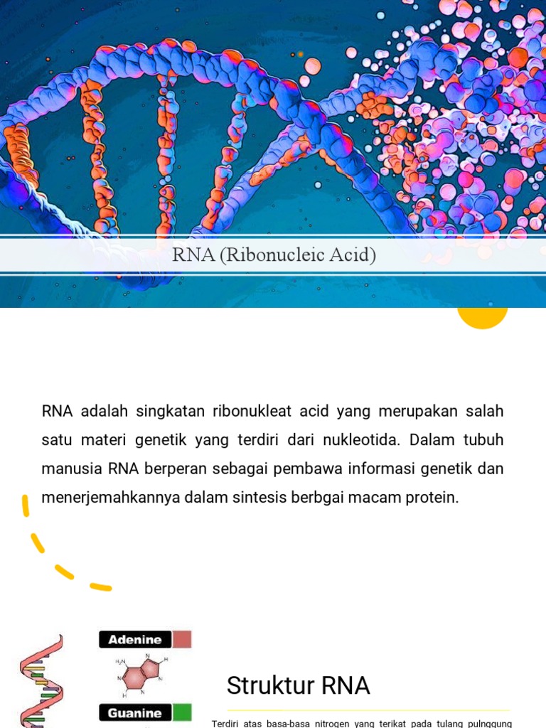 RNA (Ribonucleic Acid) | PDF