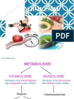 Metabolisme - Part 2. Katabolisme.2020