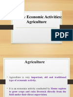 Primary Economic Activities - Agriculture