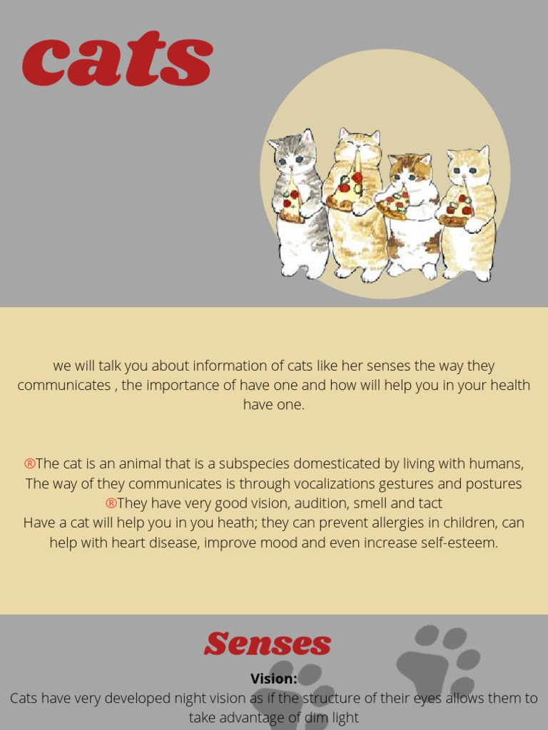 The Cats | PDF | Cats | Senses
