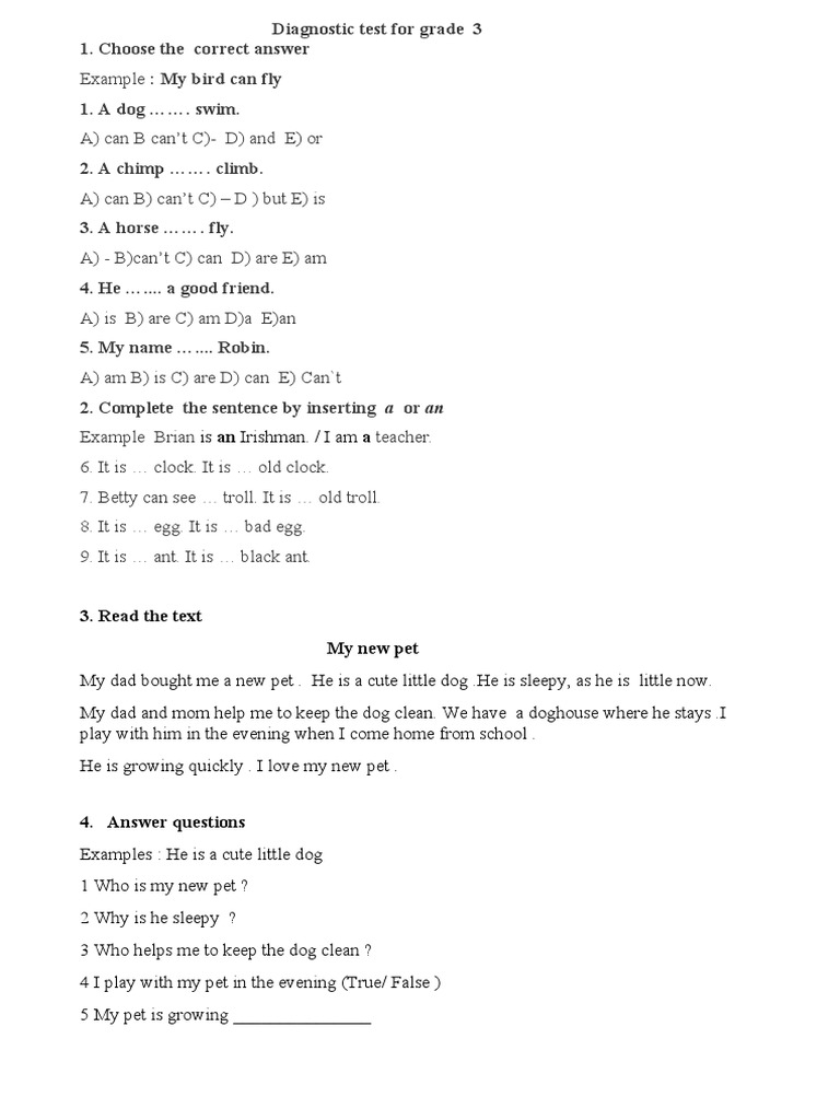diagnostic-test-grade-3-pdf