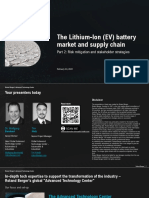 The Lithium Ion EV Battery Market - Part Two Risk Mitigation and Stakeholder Strategies 1