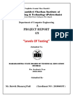 Levels of Testing Project Report