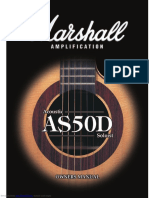 AS50D Acoustic Amplifier Manual Introduction