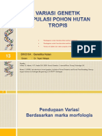 M12 S01 Pendugaan Vraiasi Genetik Melalui Marka Morfologis