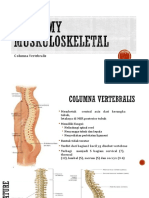 Columna Vertebralis Anatomi dan Fungsi