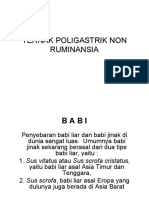 Ternak Poligastrik Non Ruminansia