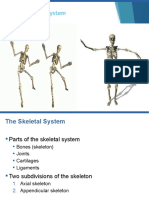 CH - 05 - THE SKELETAL SYSTEM