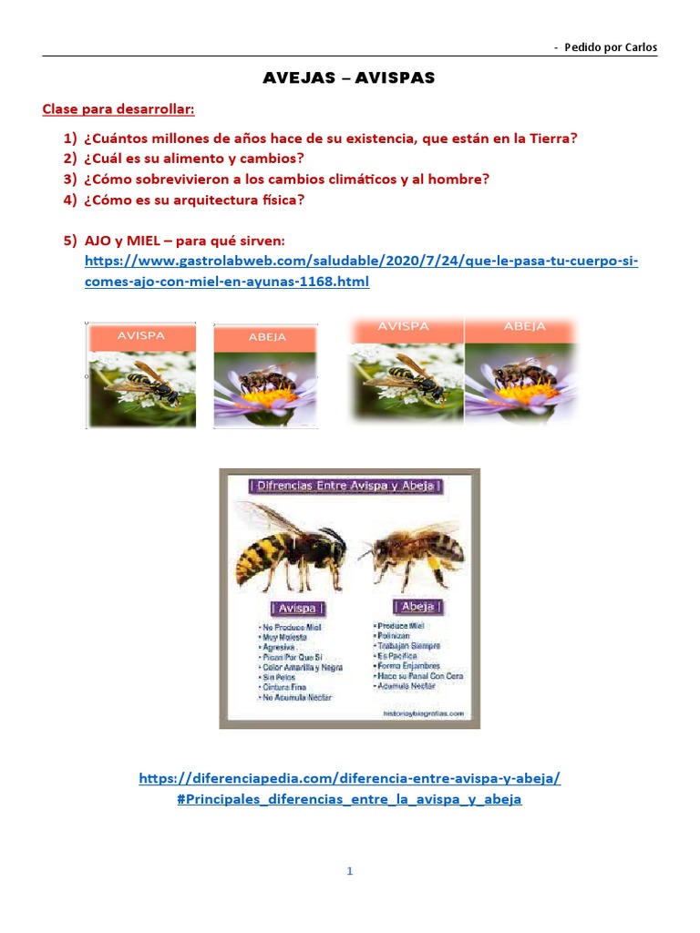 Alphonse Mucha y lo único de la joyería Art Nouveau : r/jewelry, image size:768x1024