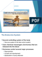 CH - 09 - THE ENDOCRINE SYSTEM