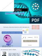 Epigenetika Jelena