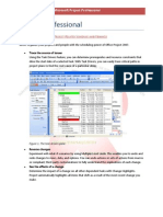 Microsoft Project Professional En