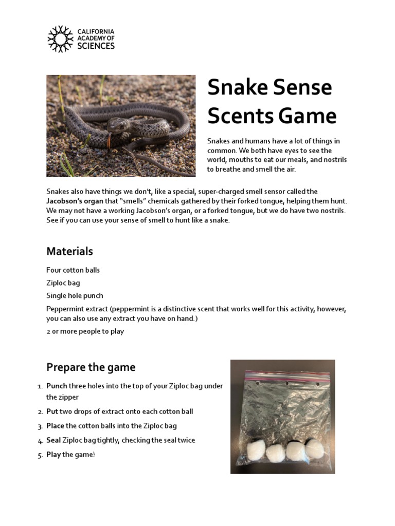 sah_snakes_snake_sense_scents_210722 PDF