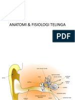Anatomi & Fisiologi Telinga