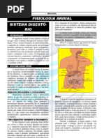 03-sistema digestorio
