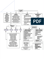 PDF Mapa Conceptual Logistica - Compress