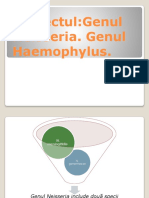 Genul Neisseria. Genul Haemophylus