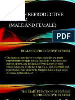 Human Reproductive System Balinas&Baluno