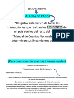Sector Externo BDP PDF