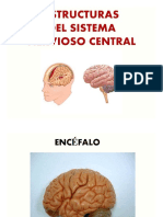 Cerebro