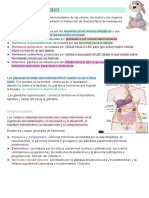 Sistema Endócrino