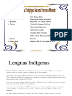 Fichaje Lenguas Indigenas