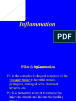 What is Inflammation: The Biological Response and Process