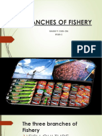 I Am Sharing 'BRANCHES OF FISHERY-2' With You