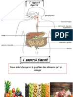 ACFrOgBxjPtn0hOYn2S7TAYeMAu4djWWY668HcPPYcoBJMnrKRVaNJQdlNuVE1Za0OcRfsjNOOkhdyQ3yfKV6qQX uDtpNMW0PfisiQPVi4S - HBnFrVe706pRzL0qfCRcrvbtHJlm9f9etDoiPS