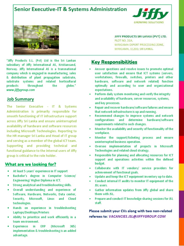 Senior Executive - IT & Systems Admin | PDF | Information Technology ...