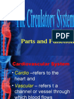 6.1 Identify and Describe The Functions of The Organs of Circulatory System