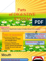 Digestive system parts and functions