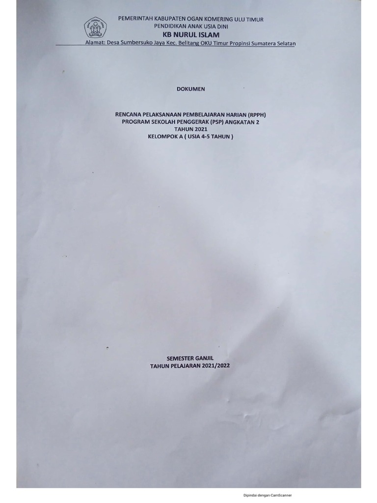 RPPH | PDF