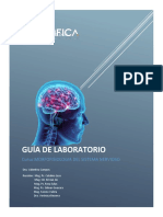 Guia de Practica Morfofisiologia Del Sistema Nervioso