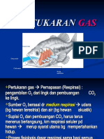 B. Sistem Pertukaran Gas