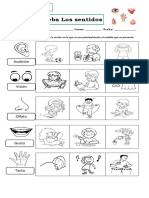 Prueba Ciencias Los Sentidos