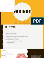 PDF Ayudantia Neuro - Faringe 