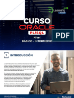 Brochure - Oracle PLSQL Basico Intermedio