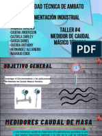 Medidor de Caudal Másico Térmico Exposicion