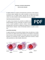 Atividade Complementar N2 - Histologia